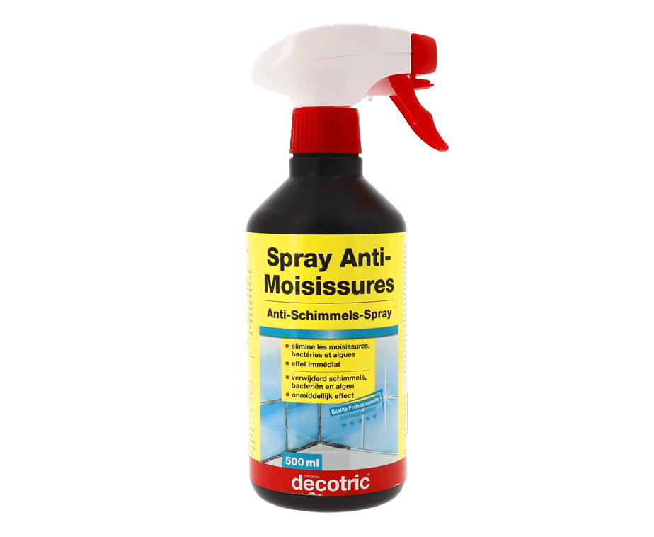 Spray Anti-Moisissures Pro