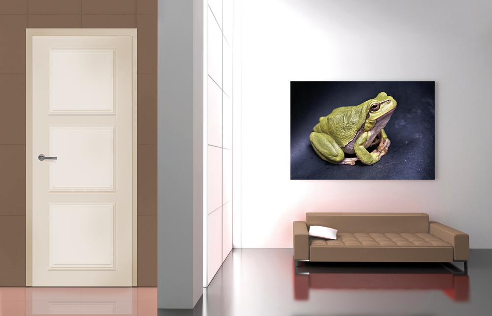 L'entrée d'une maison avec un mur et canapé couleur taupe et un tableau comportant une grenouille