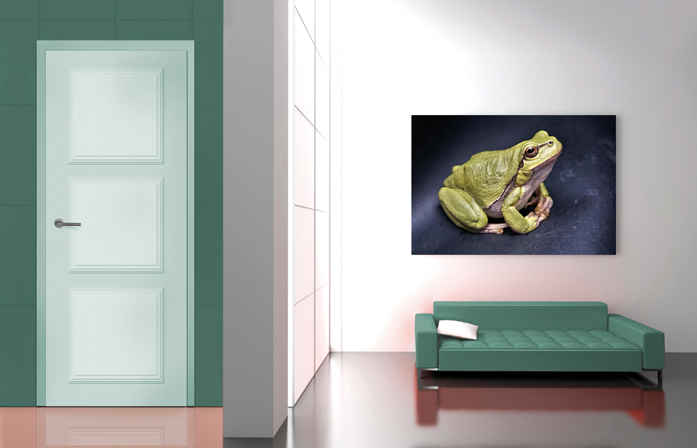 L'entrée d'une maison avec un mur et canapé couleur vert d'eau et un tableau comportant une grenouille
