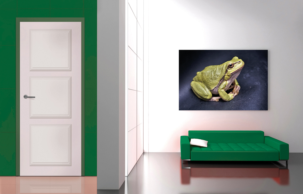 L'entrée d'une maison avec un mur et canapé couleur vert et un tableau comportant une grenouille
